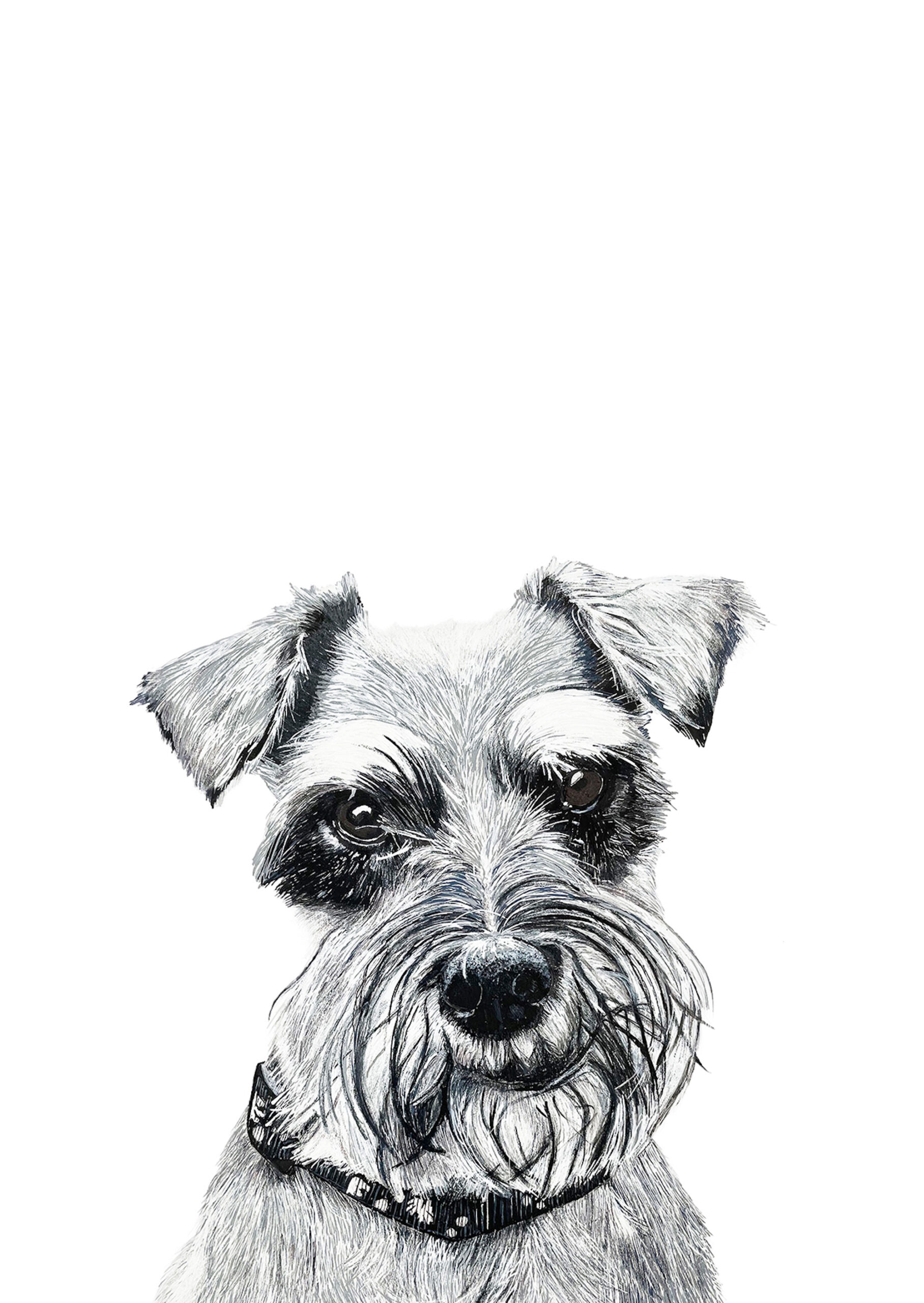 Schnauzer Fine Art Greeting Card - Image 2
