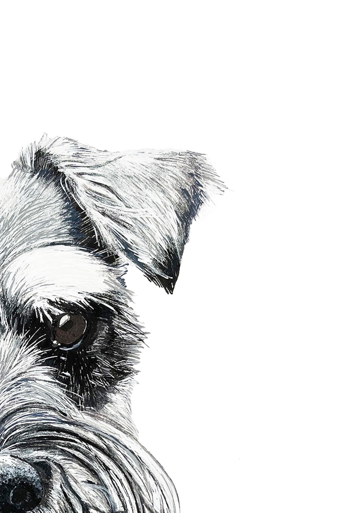 Schnauzer Fine Art Greeting Card - Image 3