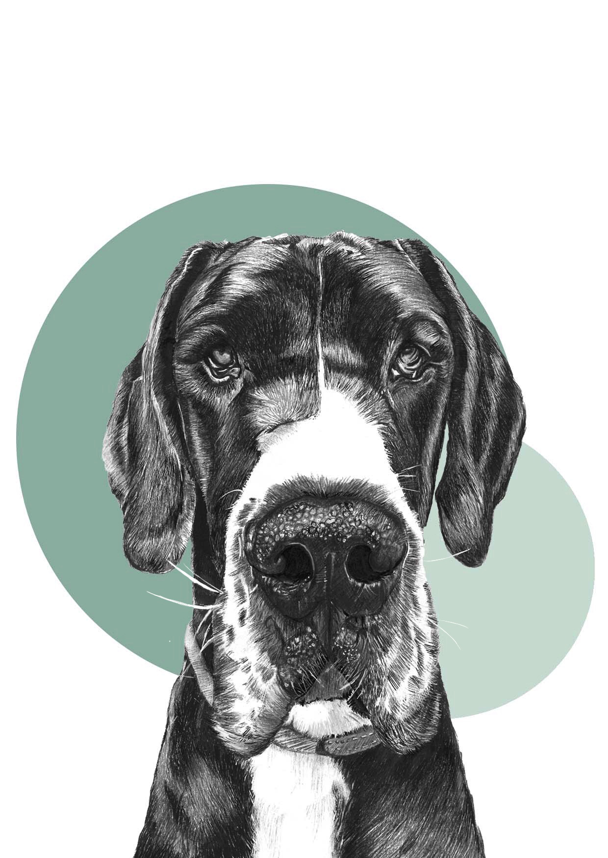 Great Dane 100% Organic Cotton Tea-towel - Image 2