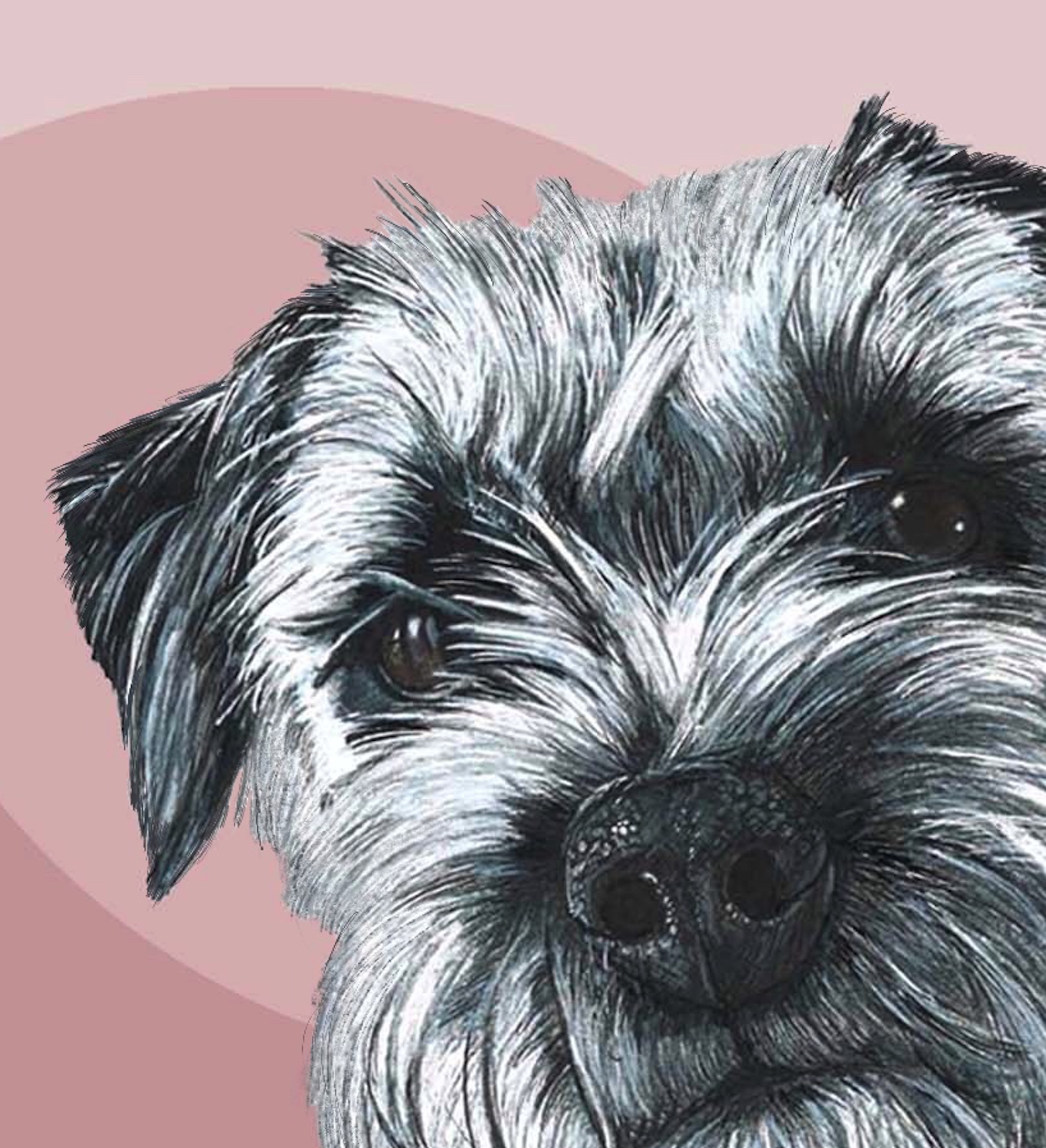 Border Terrier Fine Art Greeting Card - Image 3
