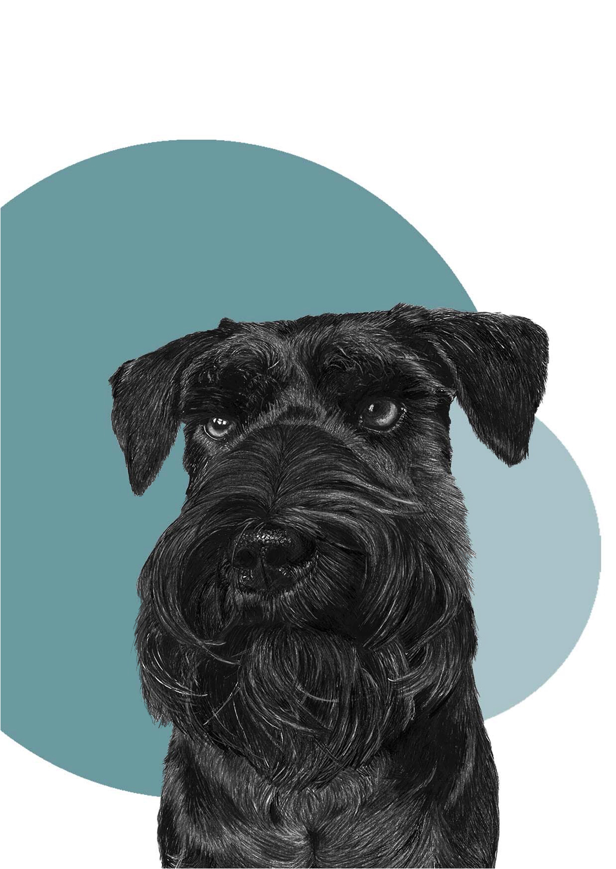 Miniature Schnauzer Fine Art Greeting Card - Image 3
