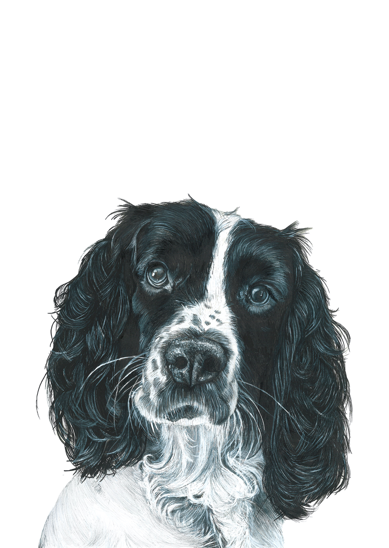 Cocker Spaniel Fine Art Blank Greeting Card - Image 3