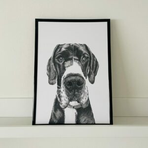 Great Dane A4 Fine Art Print (UNFRAMED)