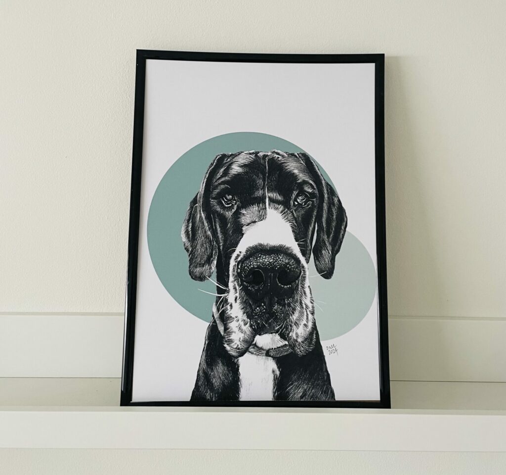 Great Dane A4 Fine Art Print (UNFRAMED)