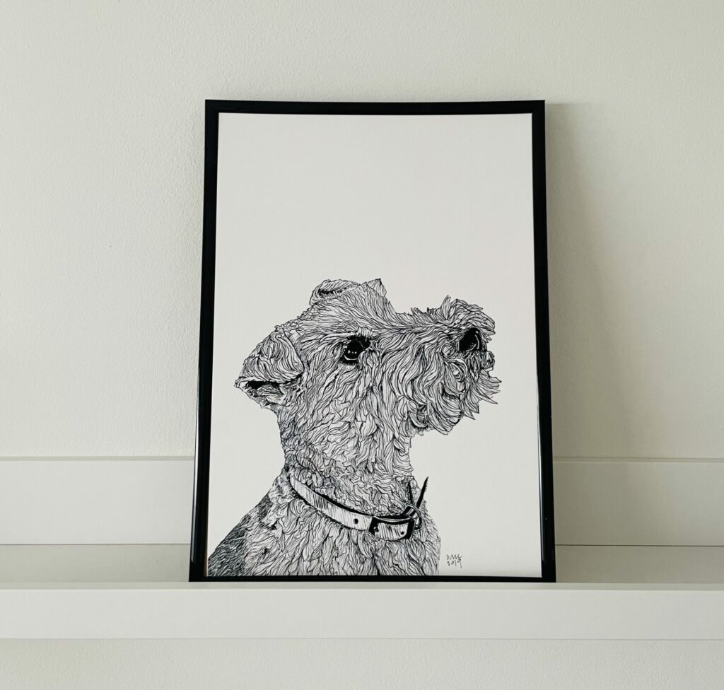 Lakeland Terrier A4 Fine Art Print (unframed)