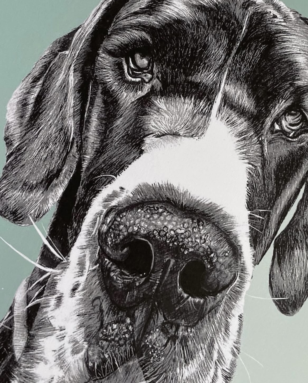 Great Dane 100% Organic Cotton Tea-towel - Image 6