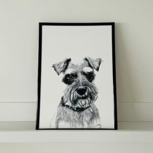 Schnauzer A4 Fine Art Print (unframed)