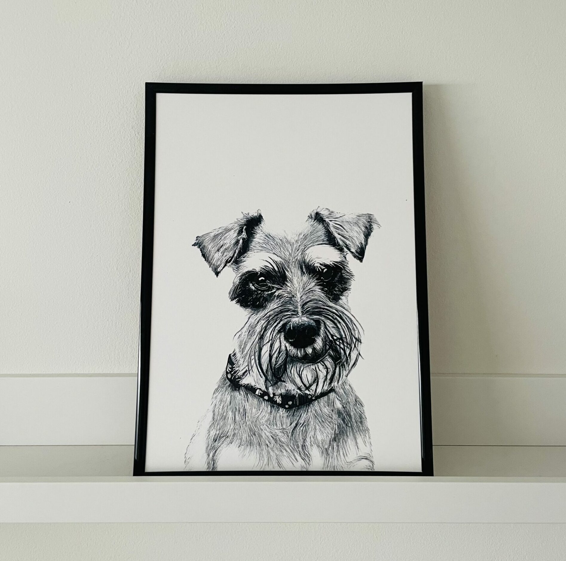 Schnauzer A4 Fine Art Print (unframed)