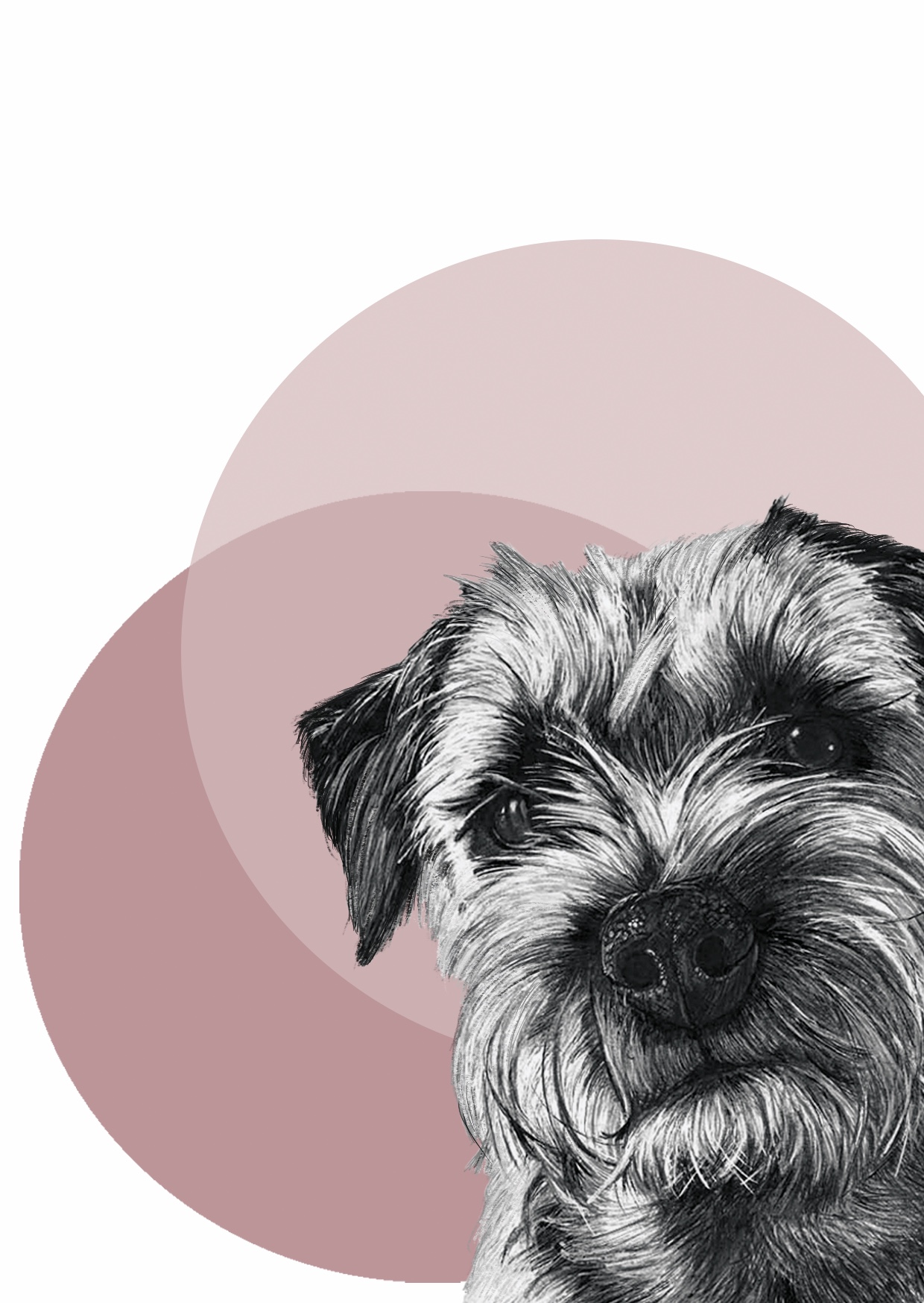 Border Terrier Fine Art Greeting Card - Image 2