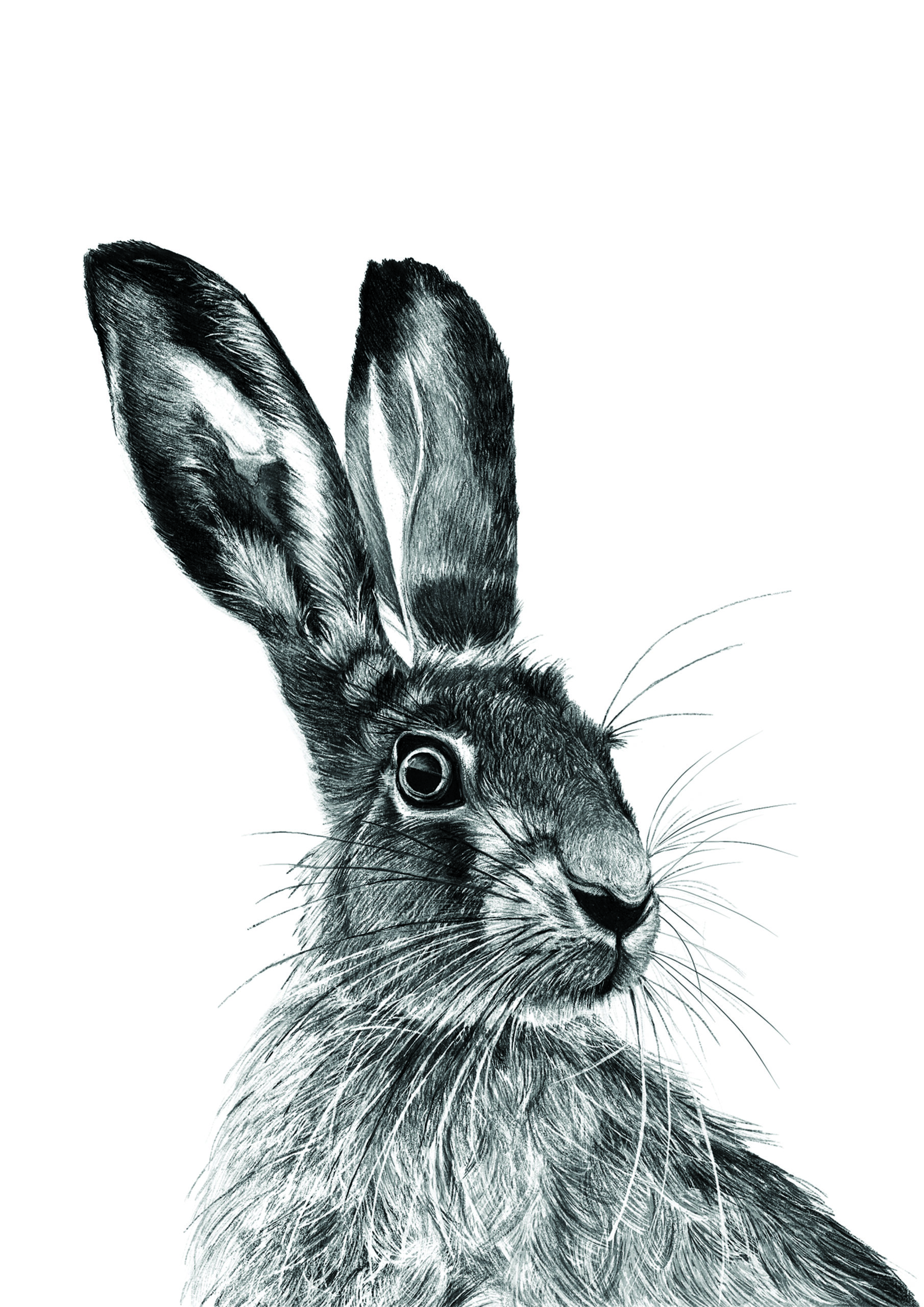March Hare A4 Fine Art Print (unframed) - Image 2