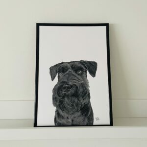 Miniature Schnauzer A4 Fine Art Print (unframed)