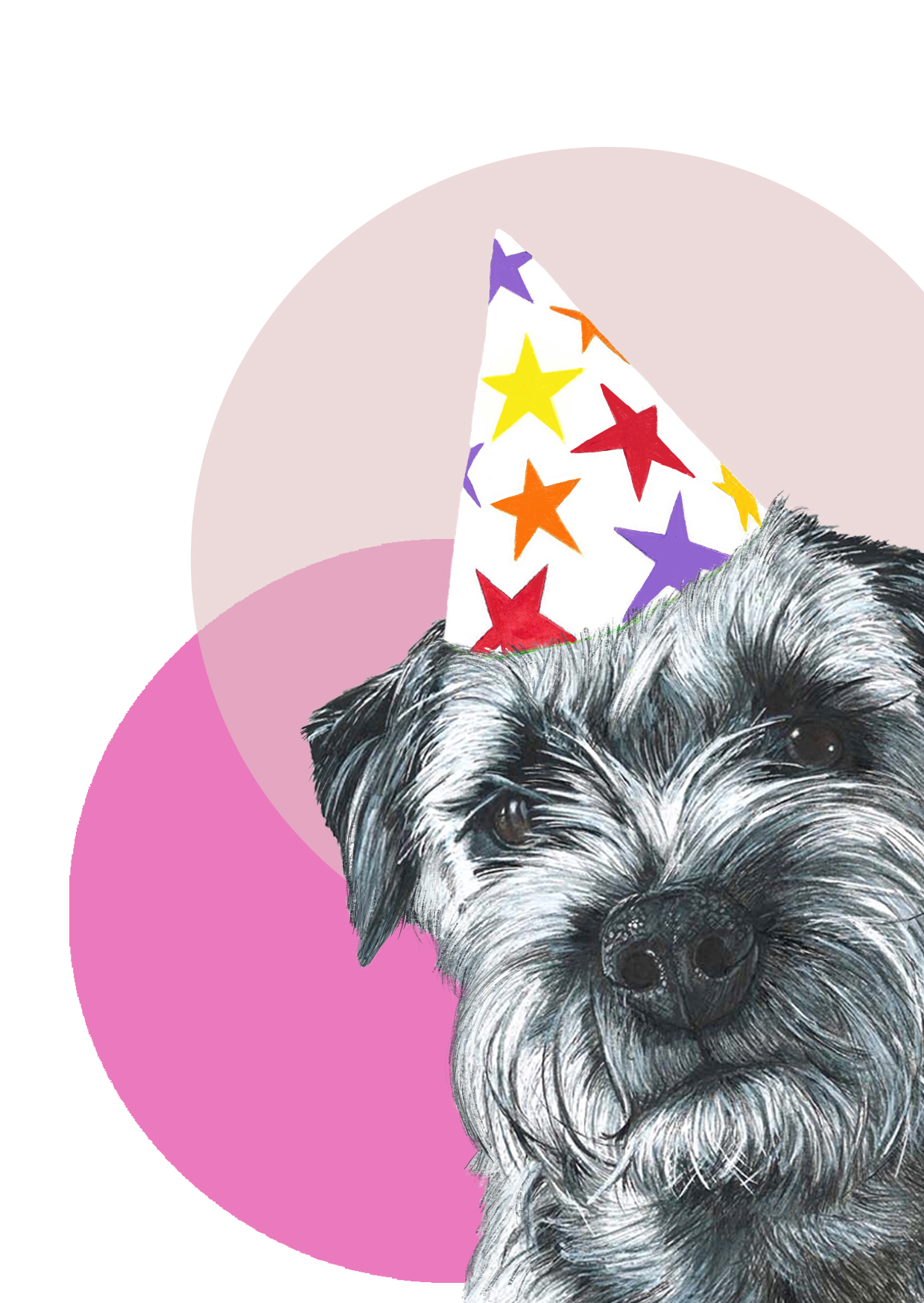 Border Terrier Birthday Card - Image 2