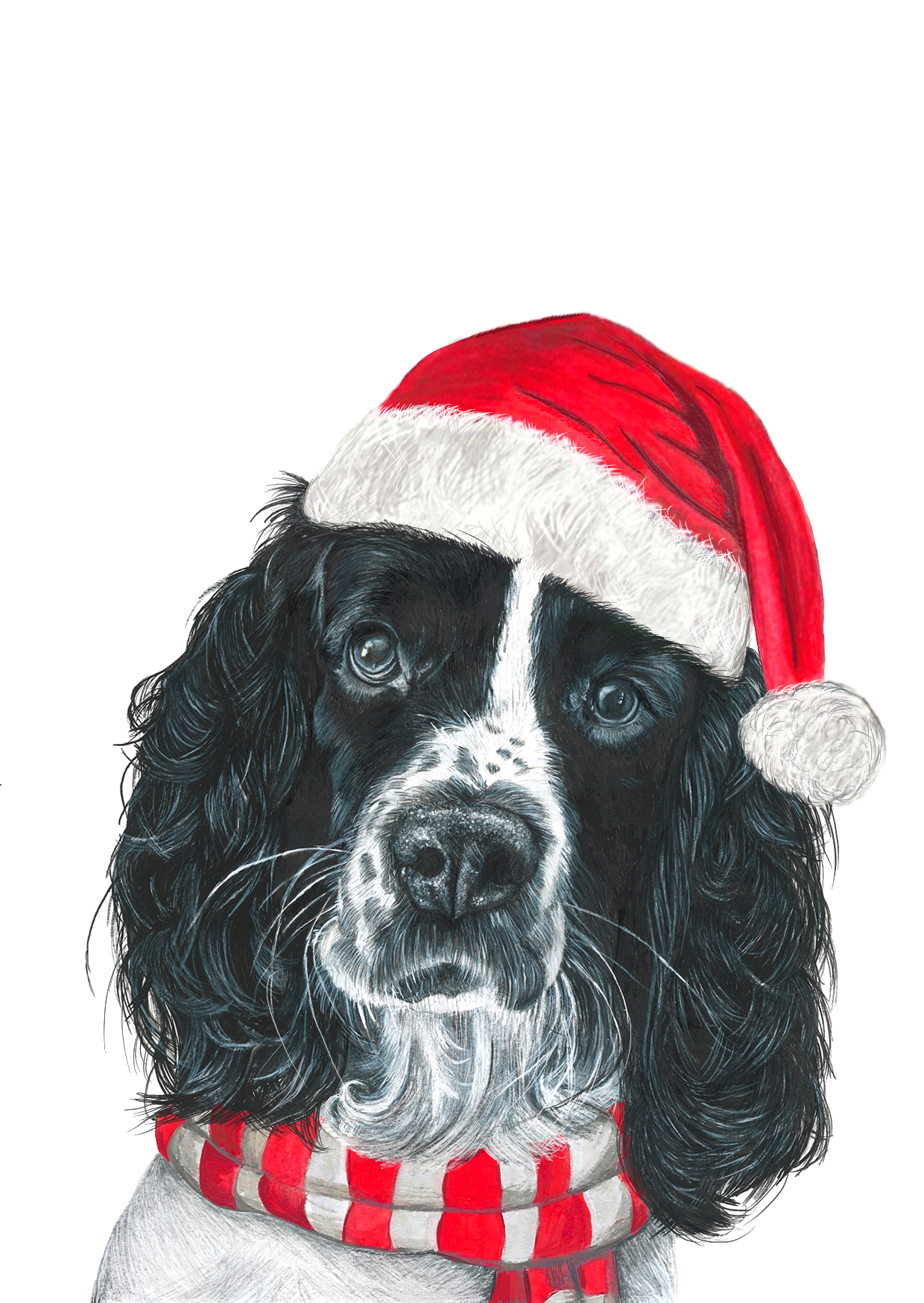 Cocker Spaniel Santa Hat Christmas Card - Image 2