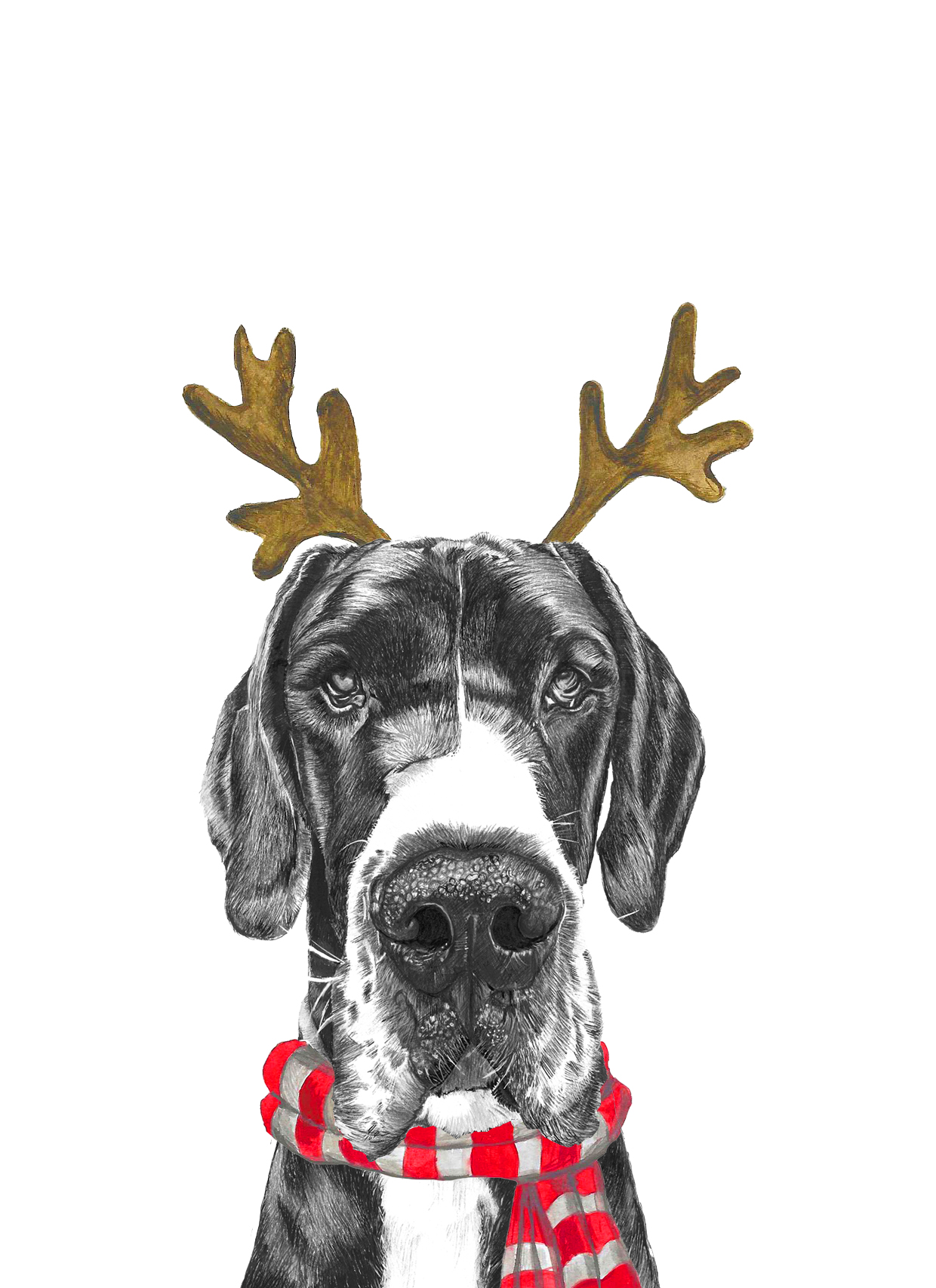 Great Dane with Reindeer Ears - Image 2