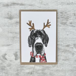 Great Dane with Reindeer Ears