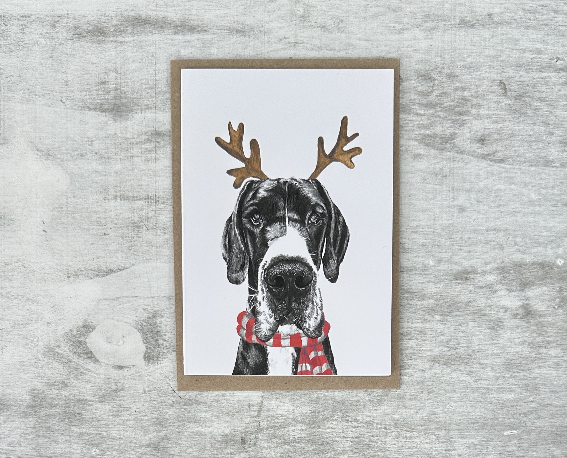 Great Dane with Reindeer Ears