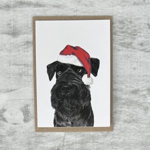 Black Miniature Schnauzer wearing Santa Hat