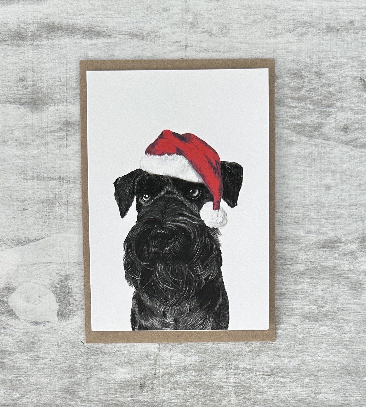 Black Miniature Schnauzer wearing Santa Hat