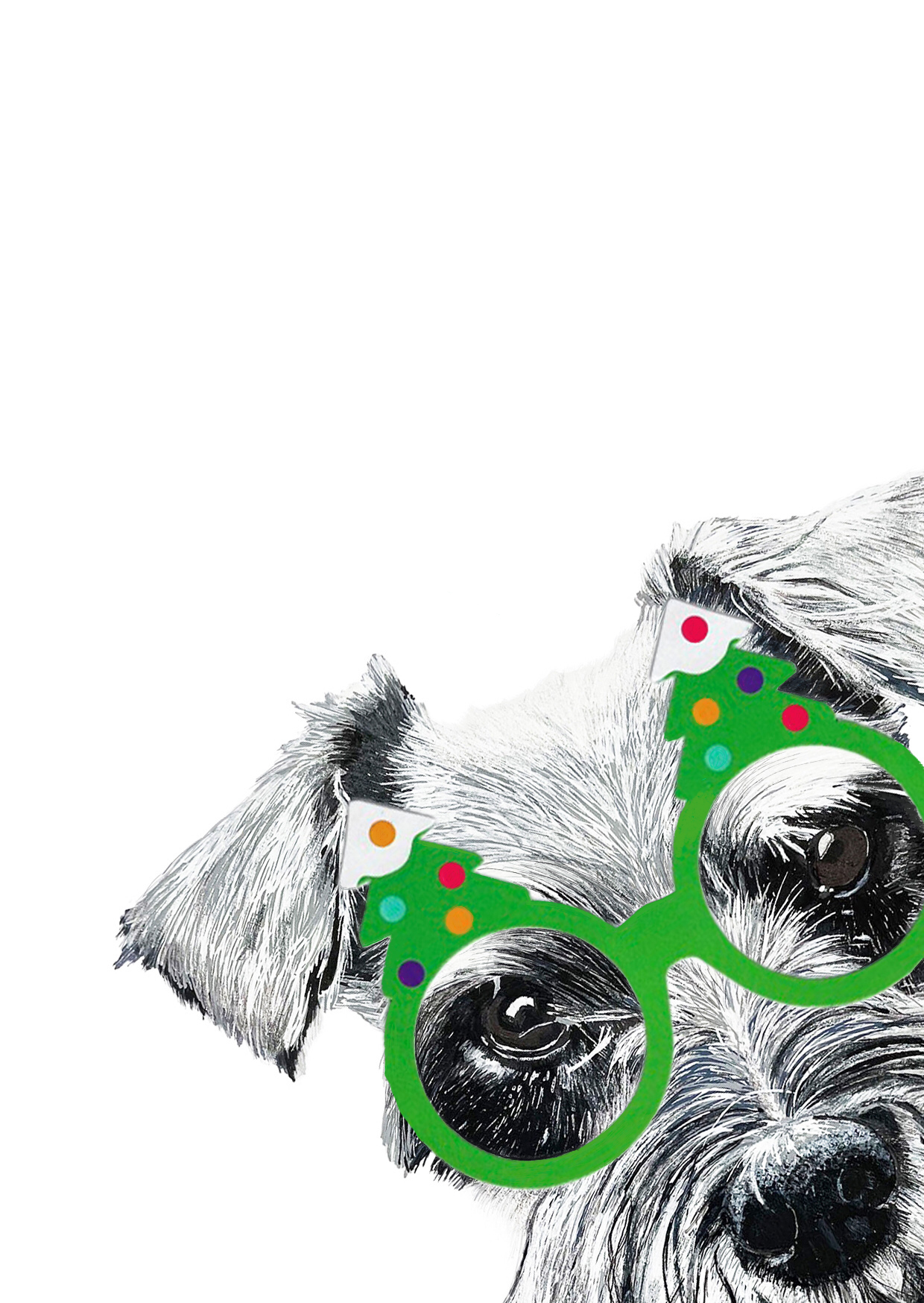 Miniature Schnauzer Christmas Card - Image 2