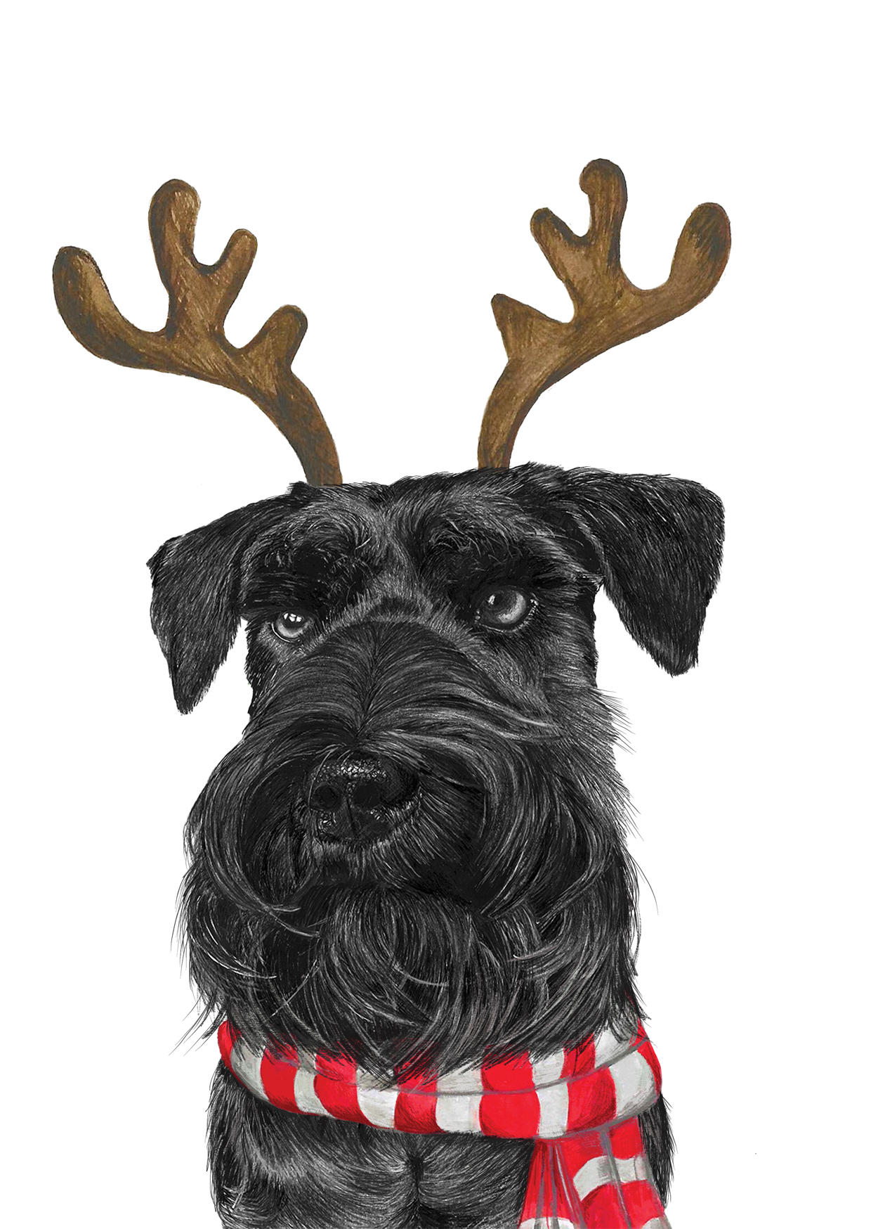 Black Schnauzer Reindeer Ears Christmas Card - Image 2